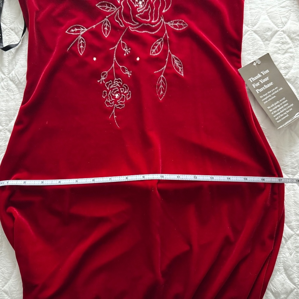 Red Velour Formal Dress - Picture 7 of 7